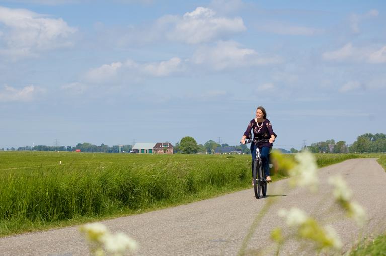 Groningen - fietsen door de weilanden